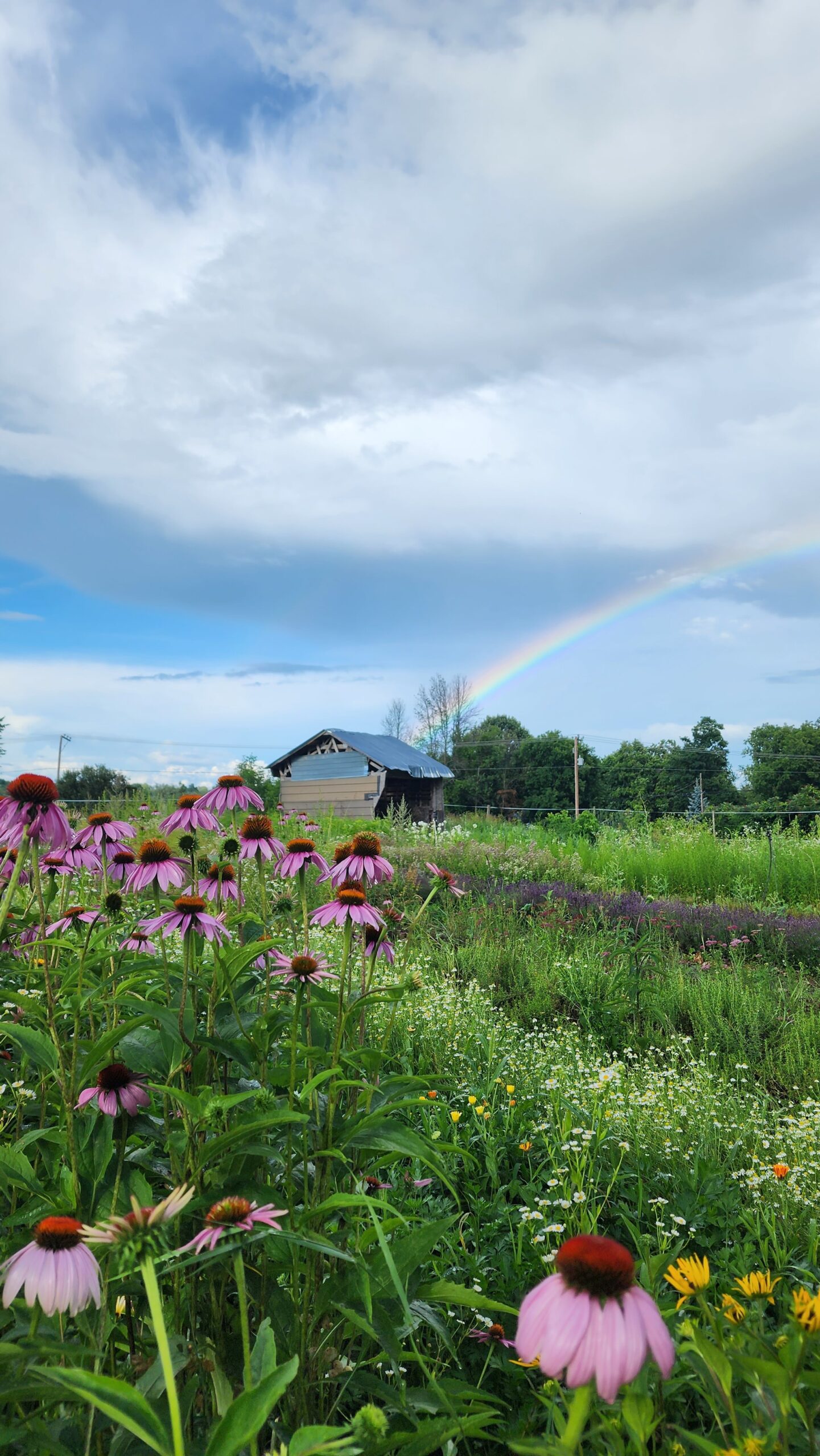 Ferme Les Petites Écores