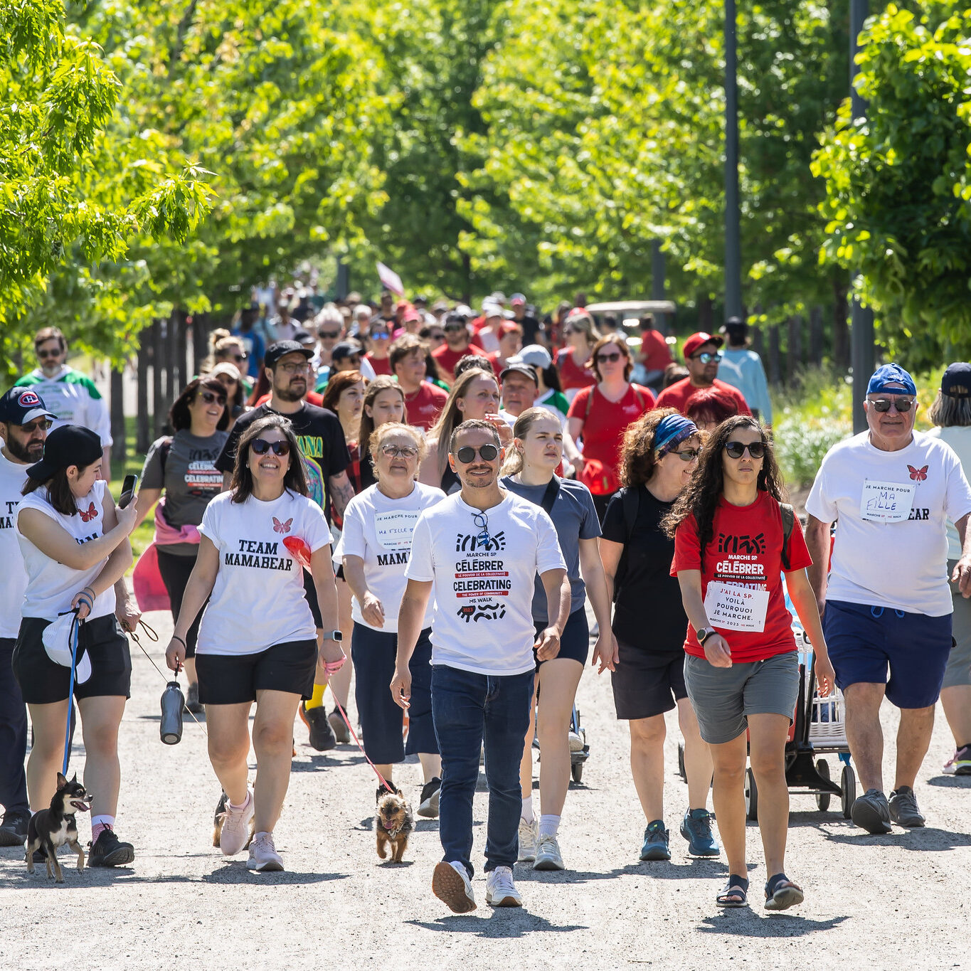 Marche SP Montérégie